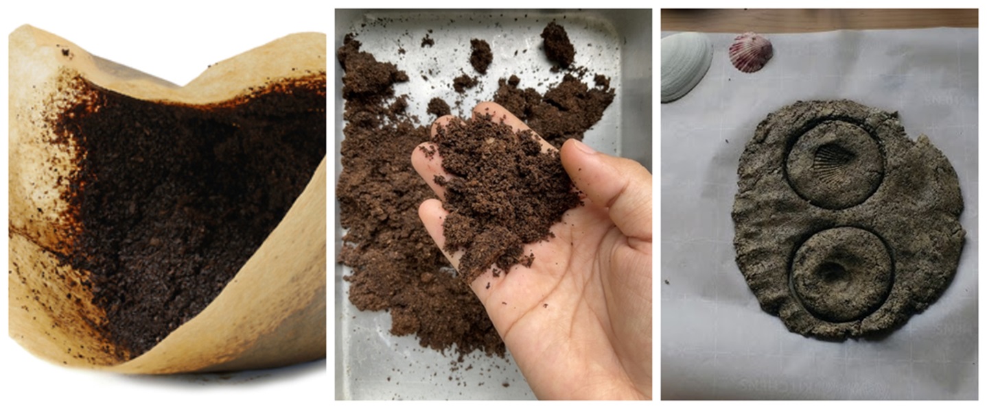 Children’s Activity: Repurposing Coffee Grounds as Coffee Fossils