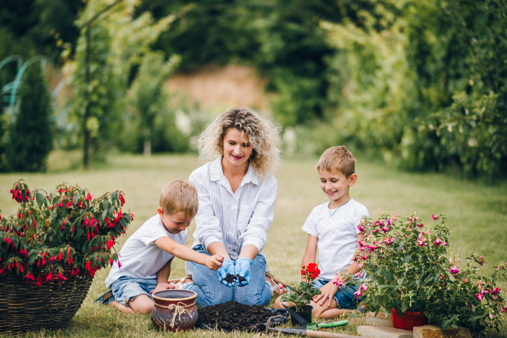 Two,Little,Brothers,Helps,Their,Mother,To,Care,For,Plants. sprinkle coffee grounds around garden plants