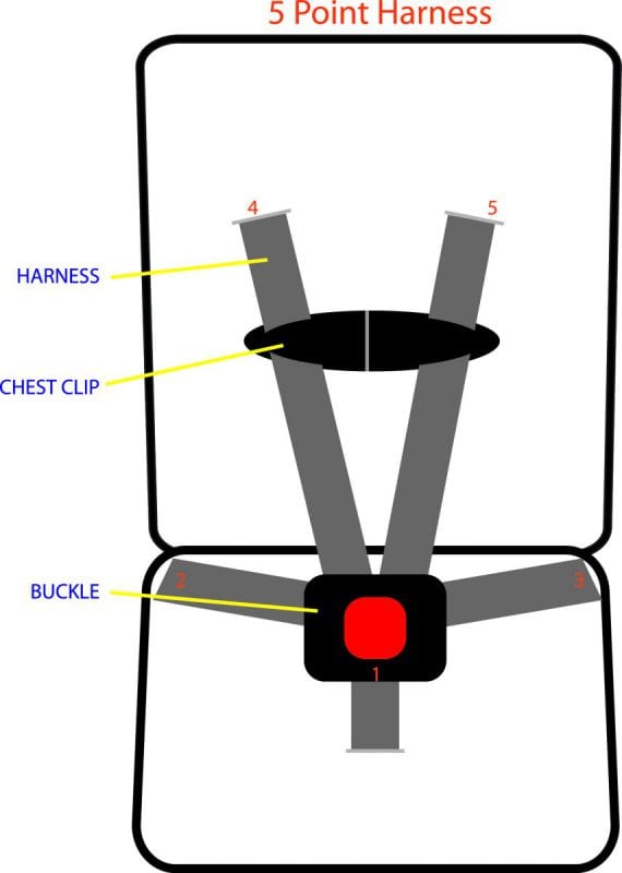 5 Point Harness