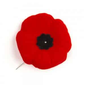 Poppy Pin