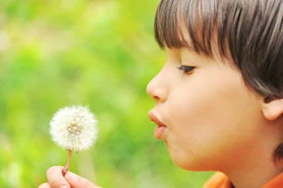 dandelion child, orchid child, makrosbarn, orkidbarn