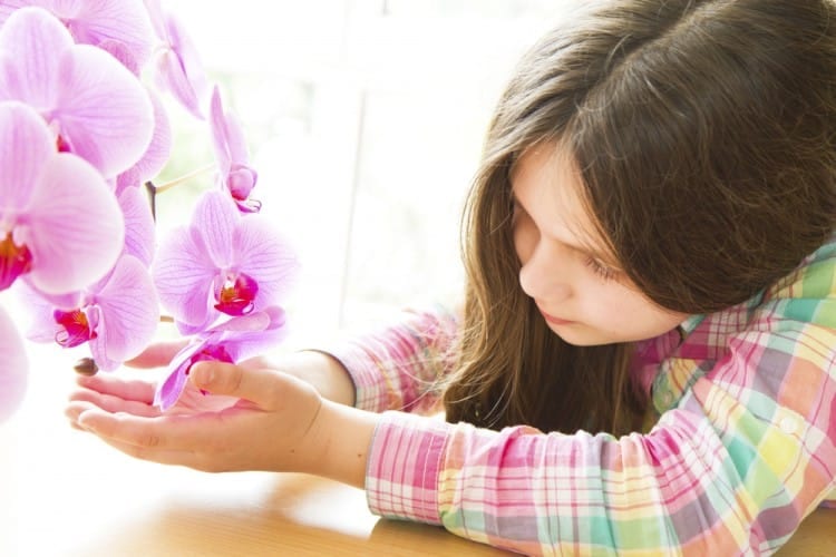 Orchid Child: Kids in Need of Hothouse Care