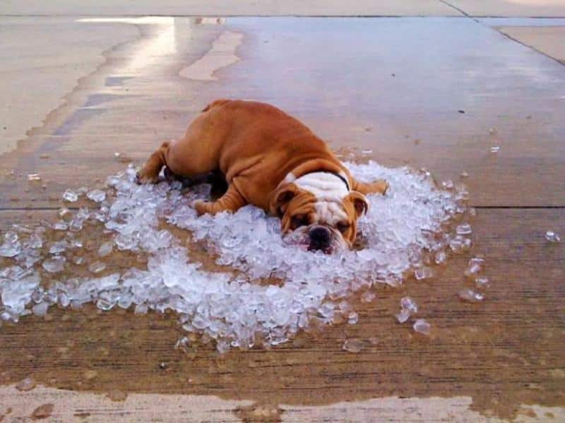 Preventing Heat Exhaustion
