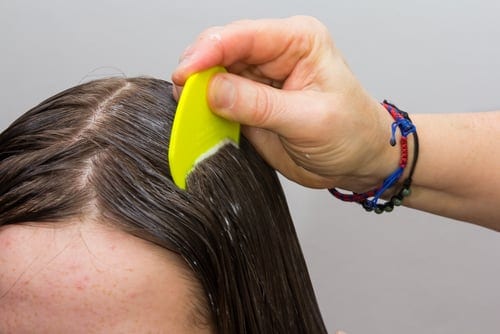 Combing with conditioner is much easier on both of you.