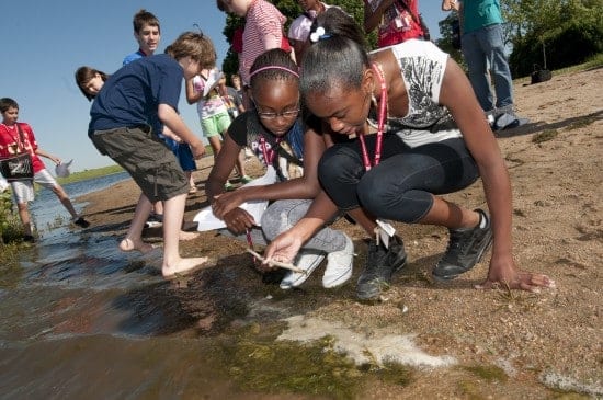 EMBHSSC UNL participants examine algae for toxic characteristics at Holmes Lake in Lincoln. (courtesy)