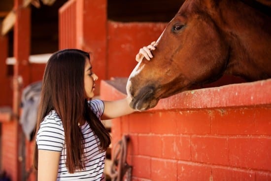 Pet Therapy And Your Child