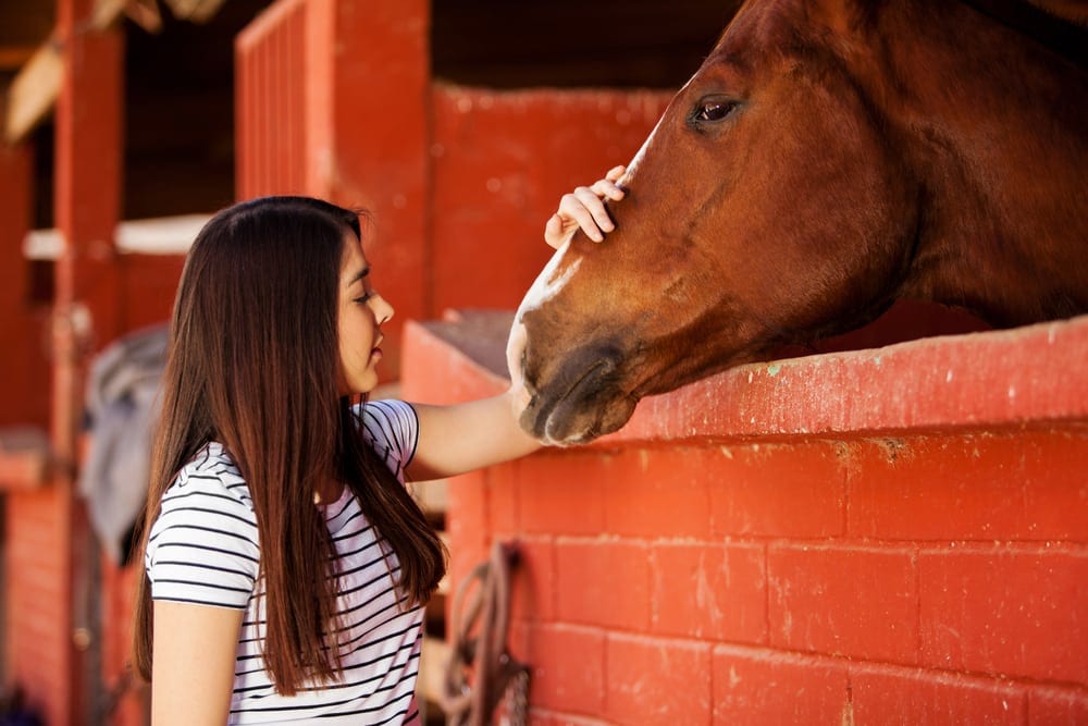 Pet Therapy And Your Child