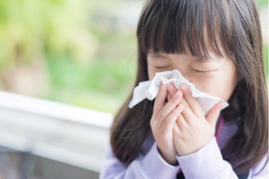 Child sneezes due to allergies