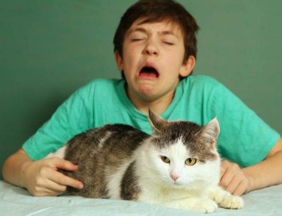 Boy sneezing from holding cat