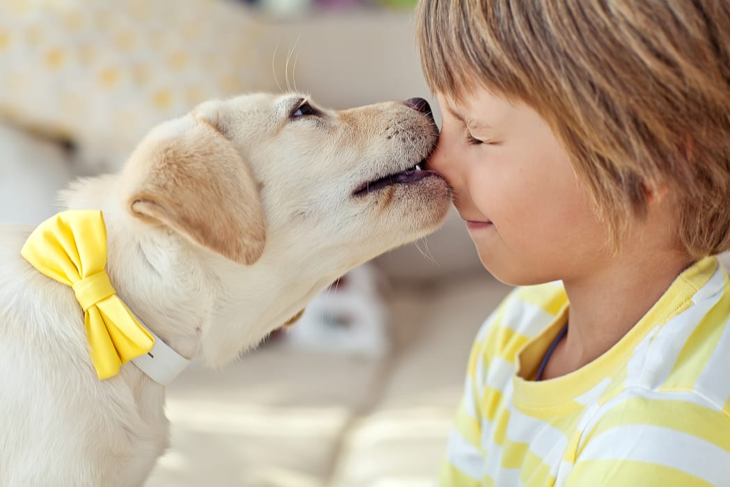 5 Tips for Keeping Your Child Safe Around Dogs
