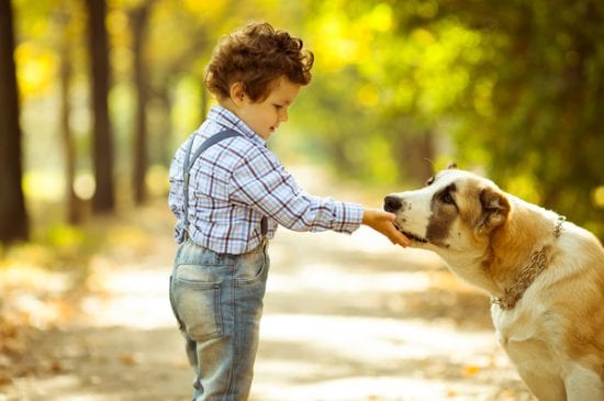little boy plays with dog in autumn park