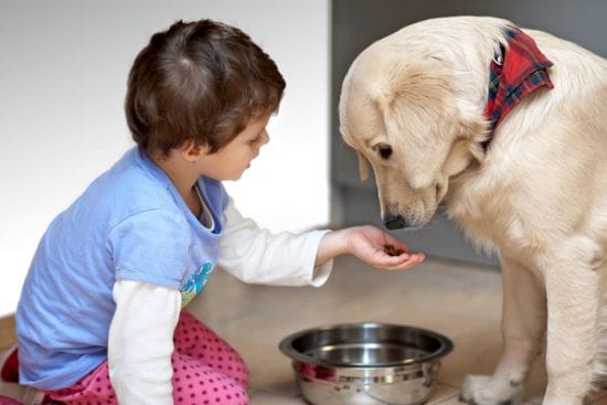 little girl offers dog food from her hand