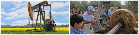 complicated canola oil production versus simple olive oil extraction puts olive oil in the family of good fats