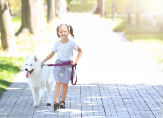 girl walks dog in park